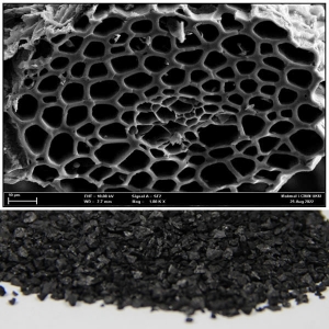 Activated carbon enhances lipase catalyzed reactions in water